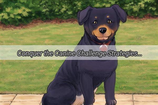  Conquer the Canine Challenge Strategies to Tame a Ferocious Hamster and Dog Duo